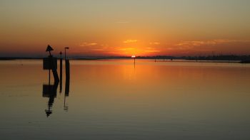 IMG_8647__5.jpg IMG_8647__5.jpg